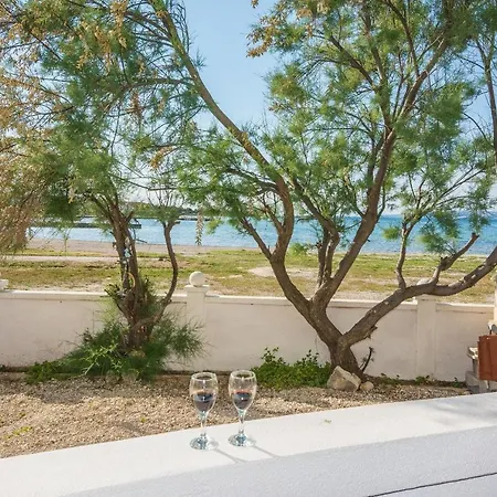 Apartment Jancic Vir